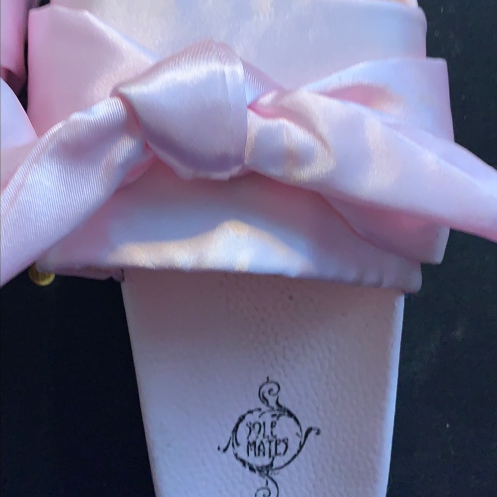 Slides - Picture 6 of 7